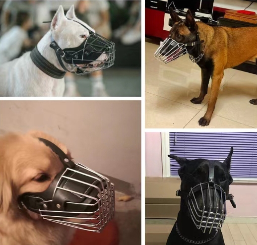 Muselière pour chien