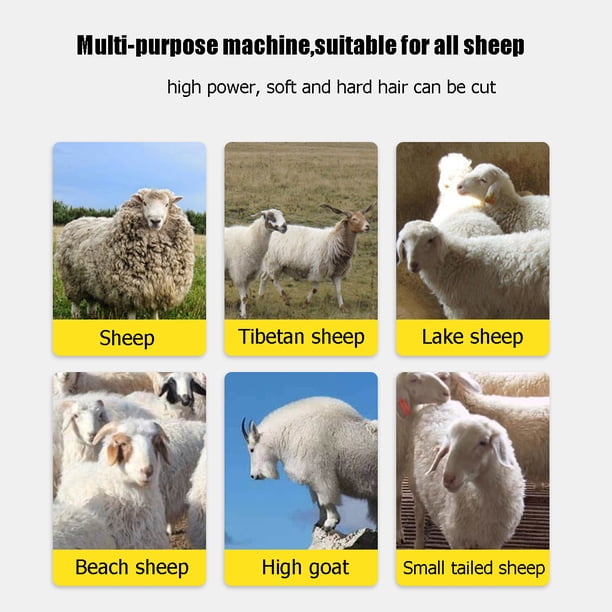 Electric Sheep Shears Clipper, 1200W 6-Speeds Professional Adjustable Heavy Duty Electric Clippers Shearing Trimmer for Goat Llama Horse Farm Animal Fur Livestock Pet Grooming