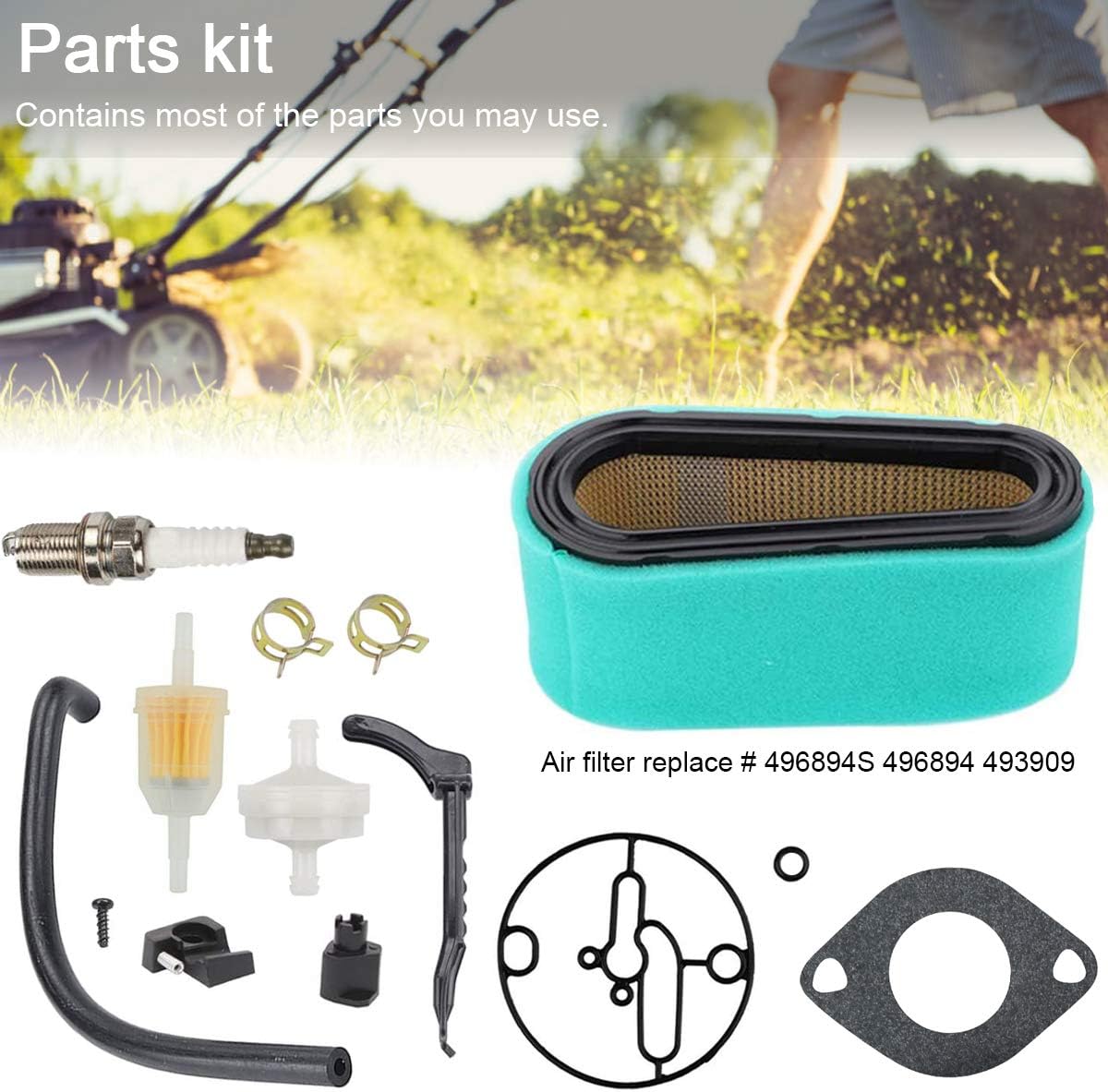 Carburateur LaBlanc 799727