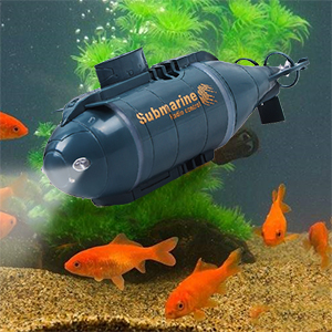 Dans l'aquarium