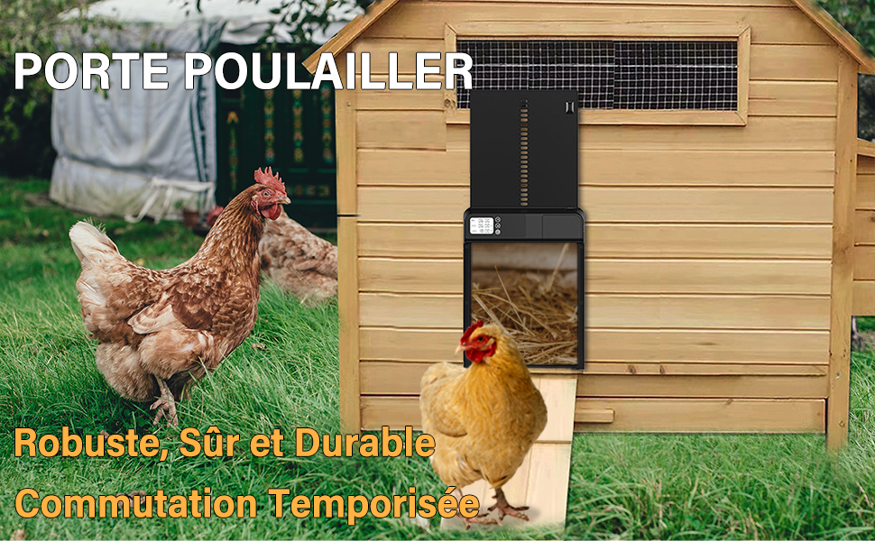 Porte de Poulailler Automatique avec