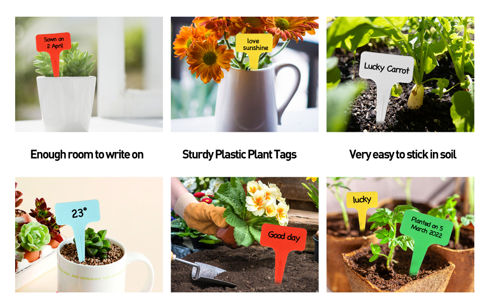 pancarte potager