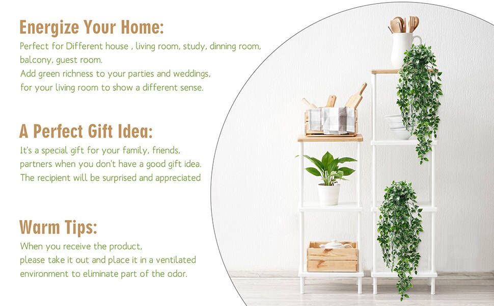 une étagère blanche avec une plante dessus.