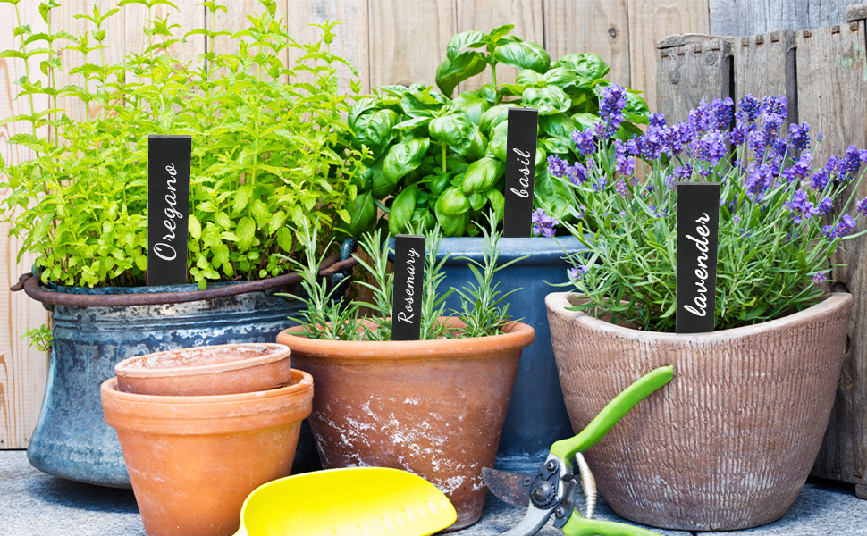 panneaux de jardin d'herbes