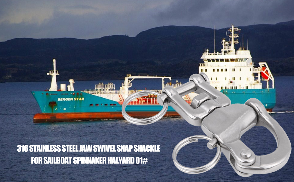 Anse pivotante à clipser en acier inoxydable 316
