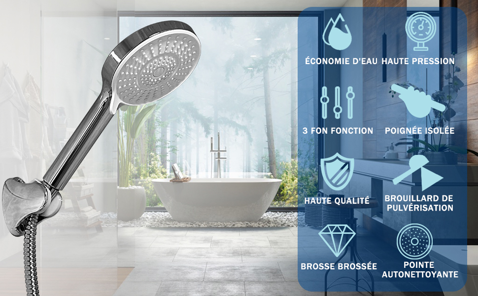 flexible de douche avec pommeau