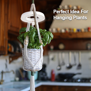 lampe croissance plante lampe pour plantes d'intérieur lampe horticole led lampe plante interieur
