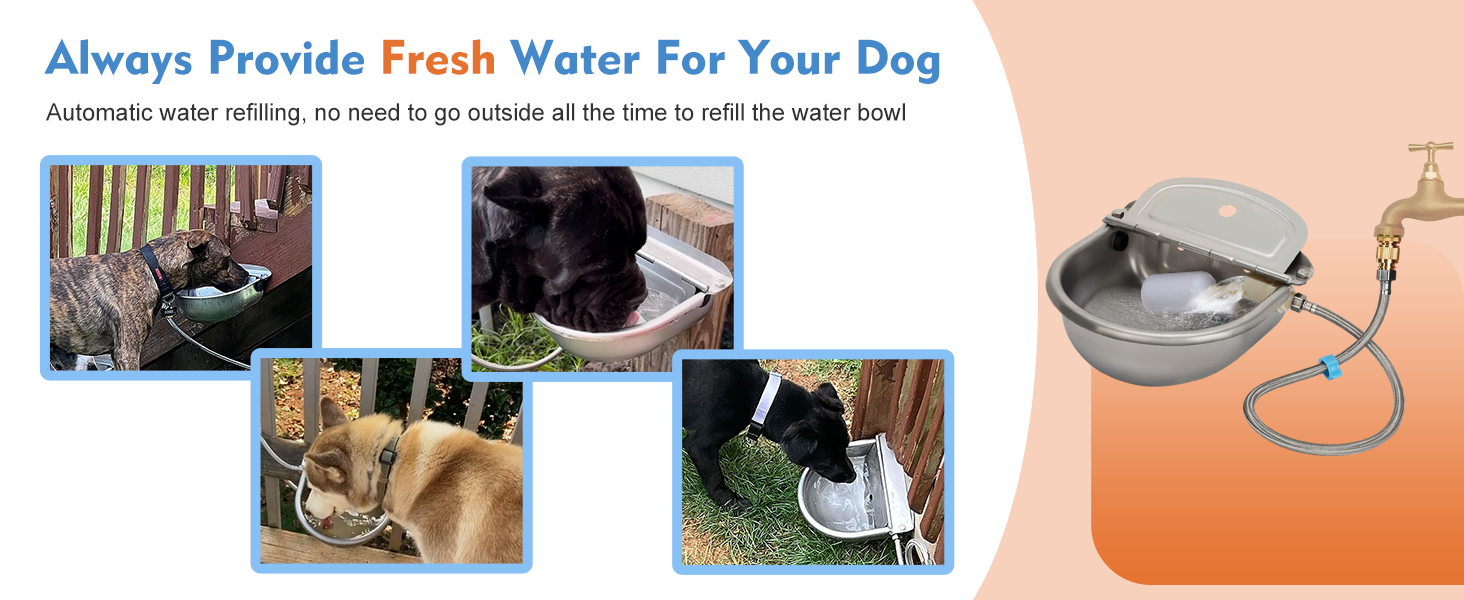 Automatic Animal Drinking Water Bowl with Float Valve