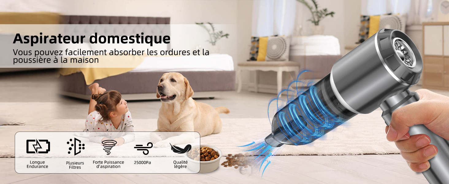 Aspirateur à Main