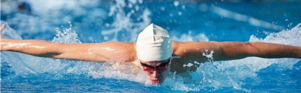 Brosse de piscine