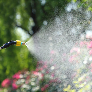 Pulvérisateur électrique de Jardin