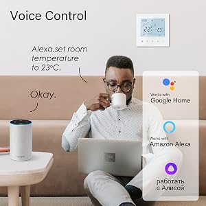 Kesselthermostat