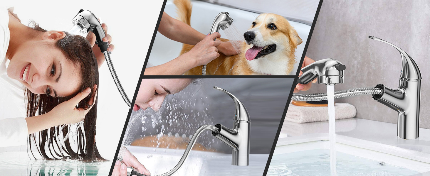 Image à quatre panneaux présentant un pommeau de douche à main. Démontre son utilisation sur les cheveux humains, le lavage des chiens et comme pulvérisateur d'évier de cuisine