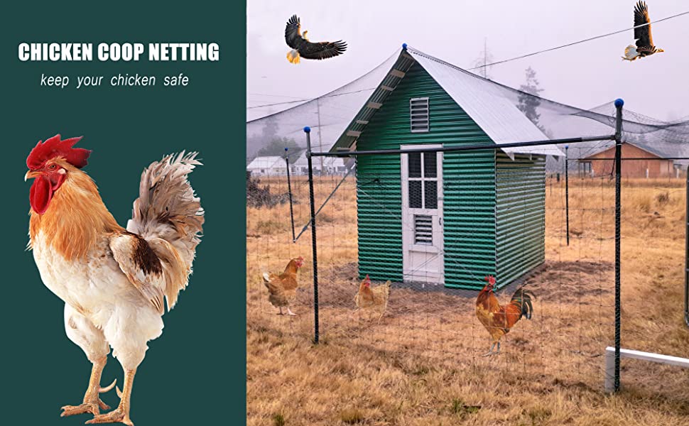 Filet anti-oiseaux pour poulailler