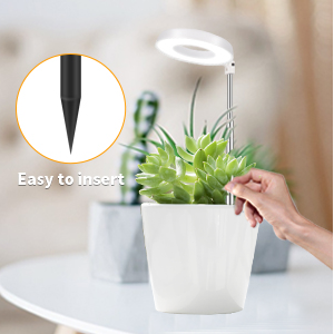 lampe uv plante interieur lampe de croissance pour plantes lampe pour plante lampe croissance plante