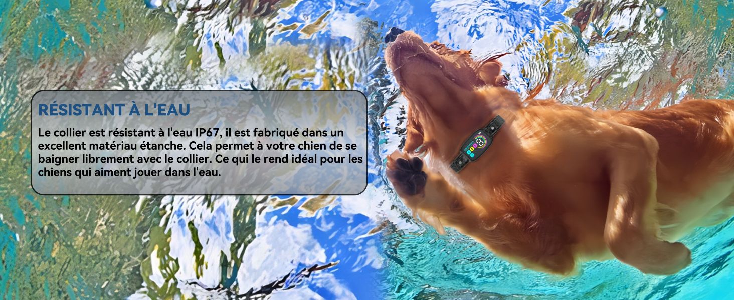 Collier Anti Aboiement Chien