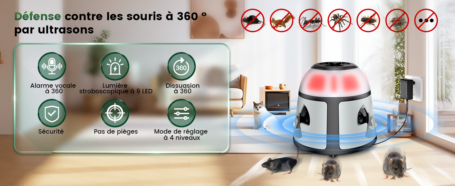 Ultrason Souris et Rats
