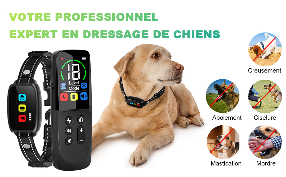 collier électronique avec écran et télécommande portative. Les icônes indiquent des fonctionnalités telles que le GPS, les chocs et les vibrations.