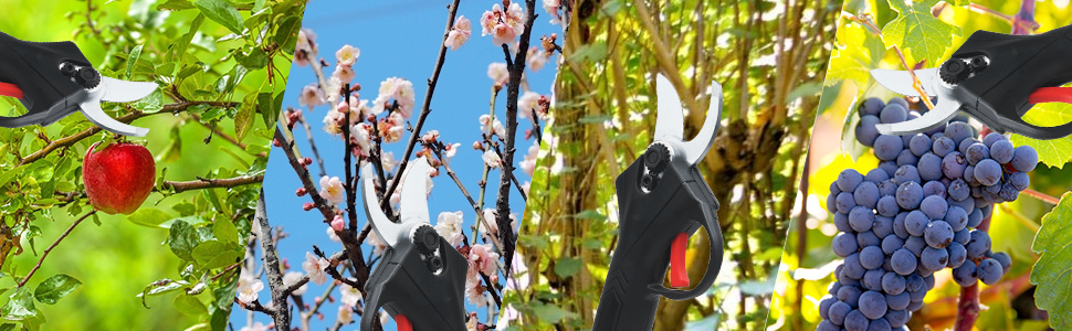 Ciseaux Branche Electrique pour jardinage