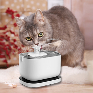 petlibro filter