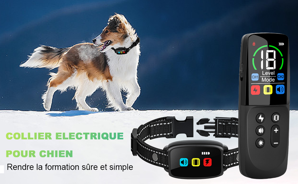 avec télécommande avec écran LCD et collier en nylon réglable avec unité de commande. Montre l'appareil d'entraînement utilisé à l'extérieur.