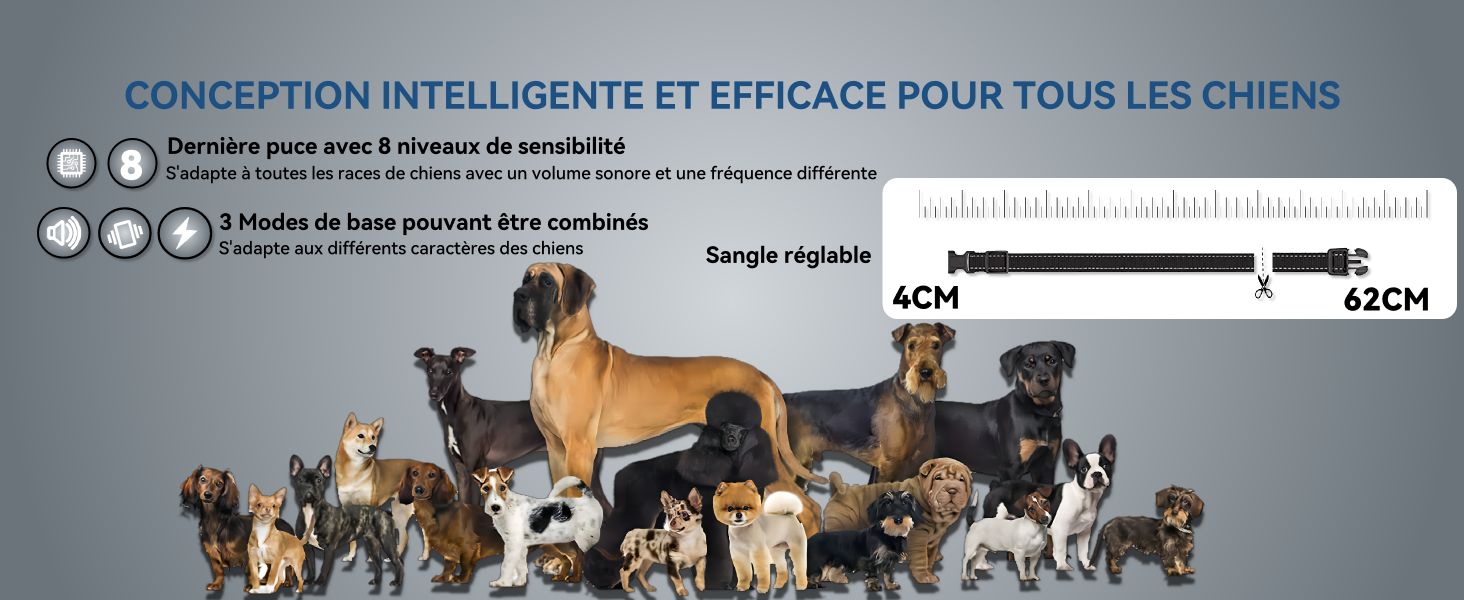 Collier Anti Aboiement Chien