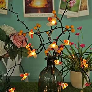 Lampes solaires de jardin