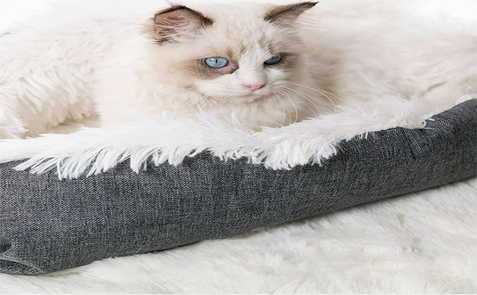 Pet mat