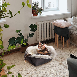 Pet mat