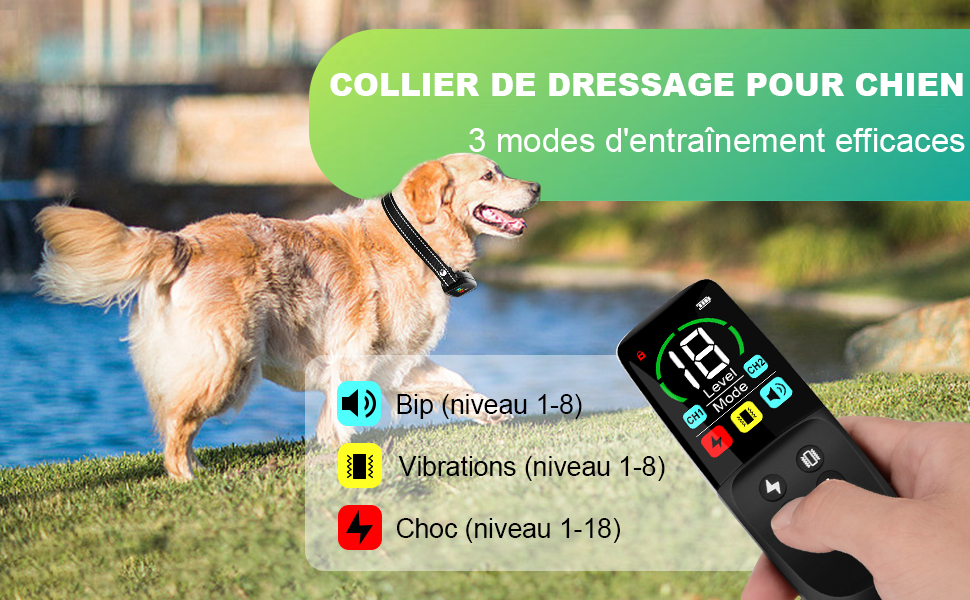 Système de collier de dressage électronique pour chiens avec télécommande affichant plusieurs modes d'entraînement, y compris les fonctions de vibration et de bip