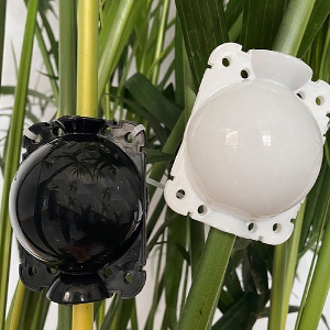 Dispositif d'enracinement de Plantes
