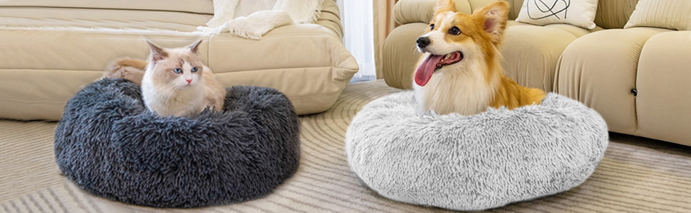 dog bed