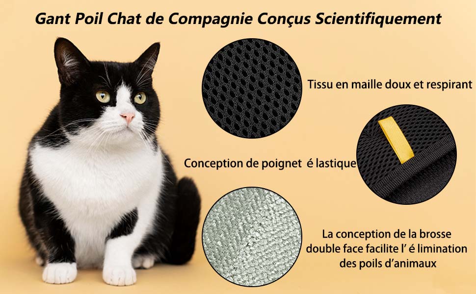 Le texte se lit comme suit : « Gant Poil Chat de Compagnie Conçu Scientifiquement ».