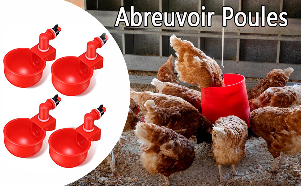 Volaille Automatique Abreuvoir