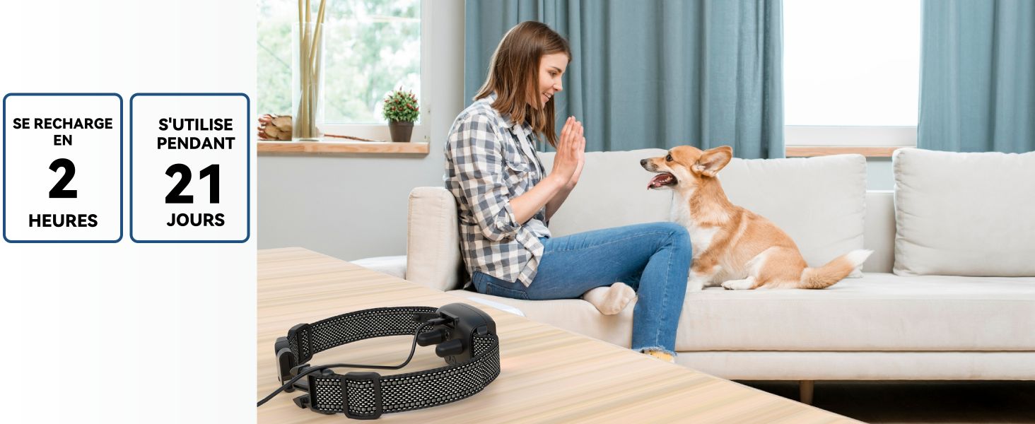 Collier Anti Aboiement Chien
