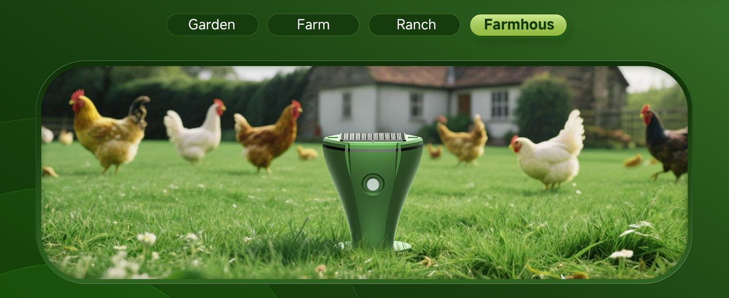aplus content image