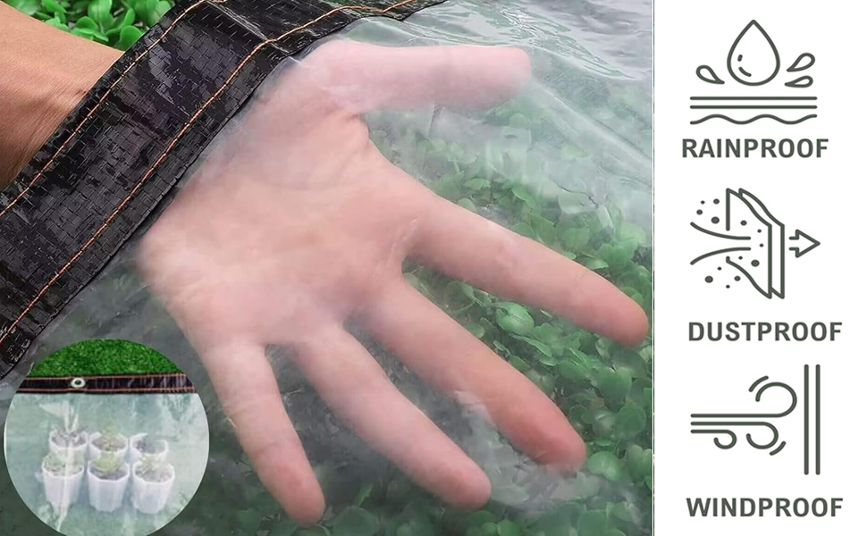 Bâche transparente avec œillet