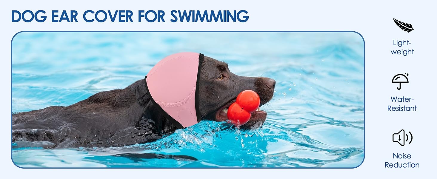 no shake ear wraps for dogs