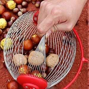 Séquence montrant un panier en treillis métallique utilisé pour ramasser et trier des objets ronds comme des noix ou des pommes de terre.