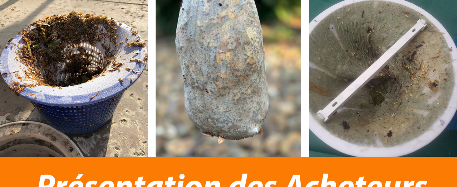 Découvrez les expériences réelles de nos clients!