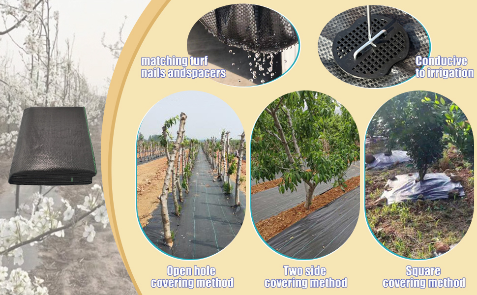 bache noire agricole