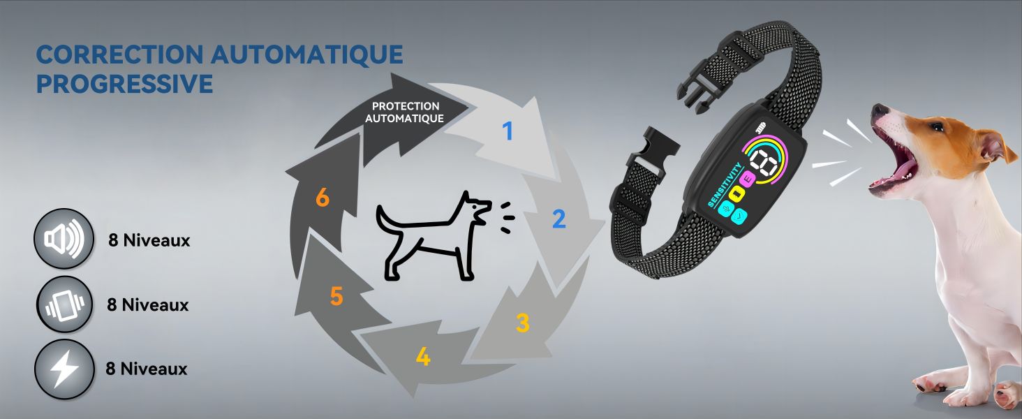 Collier Anti Aboiement Chien
