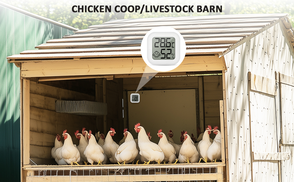 Le texte indique « POULAILLER/ÉTABLE À BÉTAIL ». Structure en bois contenant plusieurs poulets blancs avec affichage numérique de la température monté au-dessus.