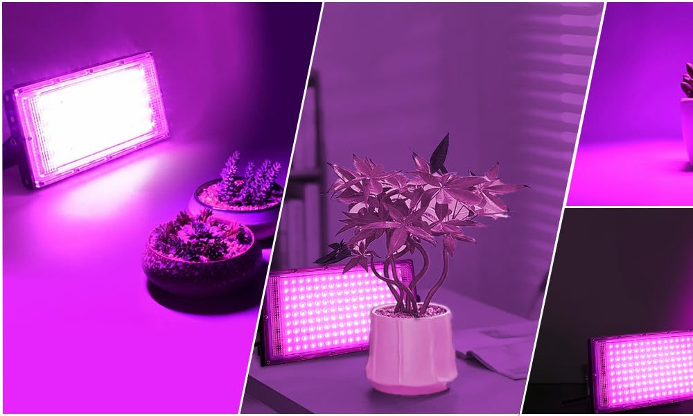 200w LED Full Spectrum Grow Light, lampe de croissance pour plantes d'intérieur