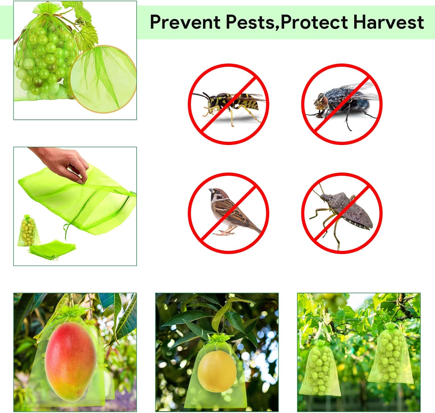 Sachet de protection fruits