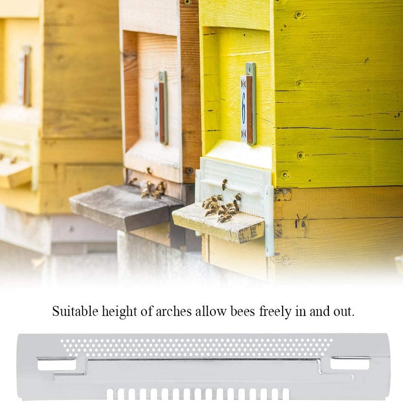 Ruche Souris Garde Abeille