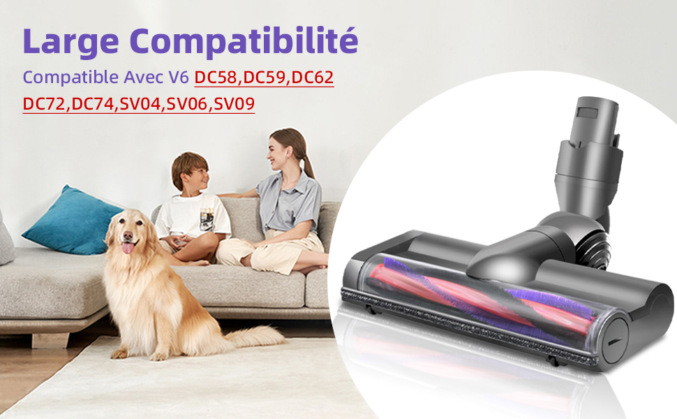 dc782bd2-90de-4dbd-be58-1d1c8b9f287f.__CR0,0,970,600_PT0_SX970_V1___.jpg