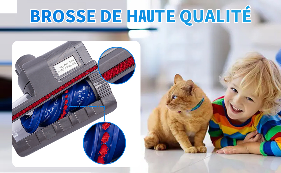 cfa718ab-942f-47be-9574-8e3a1820cba9.__CR0,0,970,600_PT0_SX970_V1___.jpg