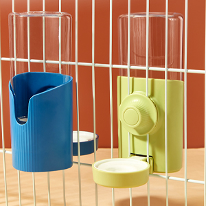 lapin accessoires