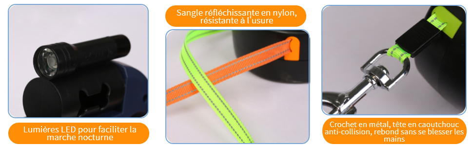 laisse de traction pour chien